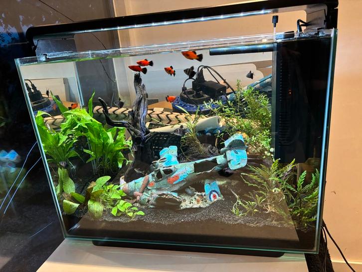 Superfish home 85 met inhoud, Dieren en Toebehoren, Vissen | Aquaria en Toebehoren, Zo goed als nieuw, Gevuld zoetwateraquarium