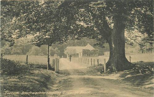 (387-158-021) Ellecom Boschwachterswoning, Verzamelen, Ansichtkaarten | Nederland, Gelderland, Verzenden
