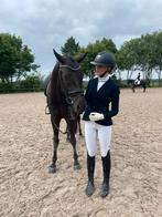 Samshield showjacket, Dieren en Toebehoren, Paardrijkleding, Ophalen of Verzenden, Zo goed als nieuw, Dressuur, Cap
