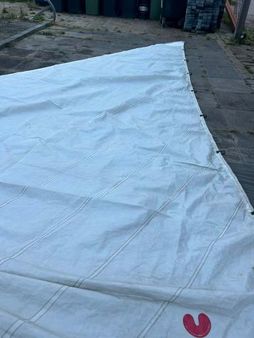 Witte fok beschikbaar voor biedingen