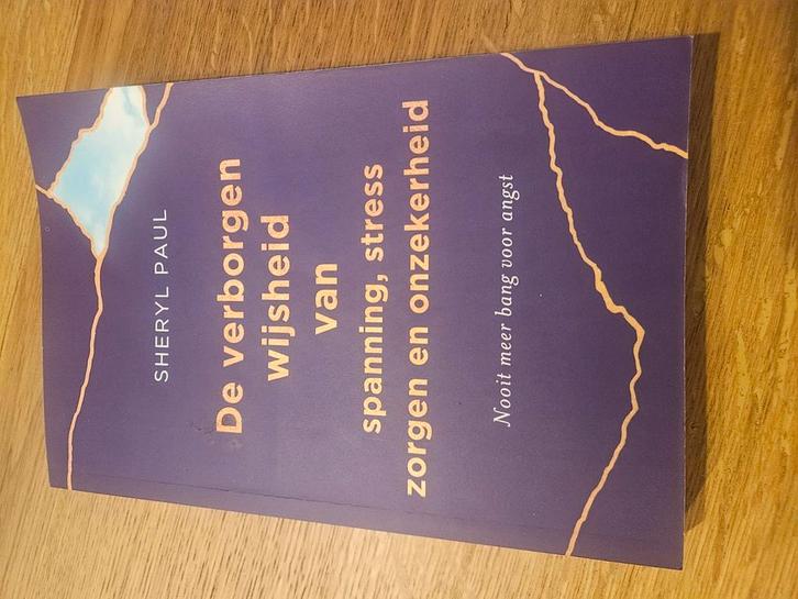De verborgen wijsheid van spanning, stress, zorgen en onzeke, Boeken, Esoterie en Spiritualiteit, Zo goed als nieuw, Spiritualiteit algemeen