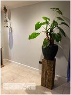 Zuil / plantenzuil VAN SPOORBIELZEN NIEUW!