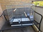 Grote vogelkooi, Dieren en Toebehoren, Ophalen, Zo goed als nieuw, Metaal, Vogelkooi