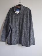 NIEUW heren vest grijs Xmail MAAT 3XL valt als 2XL, Ophalen, Xmail, Nieuw, Overige maten