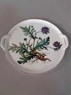 Taartbord Villeroy en Boch Botanica in nieuwstaat, Ophalen of Verzenden, Zo goed als nieuw, Overige stijlen, Schaal of Schalen