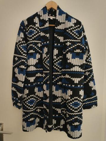 Lang vest, maat L beschikbaar voor biedingen