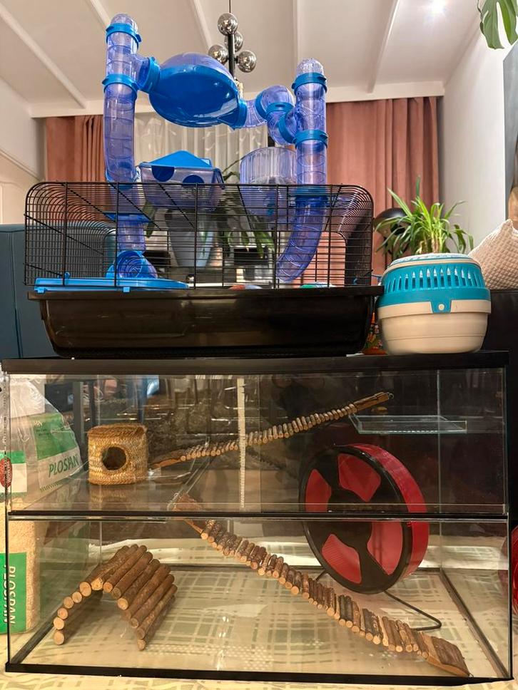 Hamster terarium, kooi, accessoriees, transportbox, Dieren en Toebehoren, Knaagdieren en Konijnen | Hokken en Kooien, Gebruikt