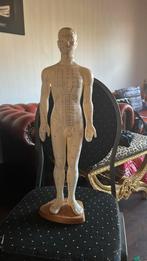 Acupunctuur pop, Ophalen, Nieuw, Massagetafel