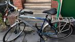 Giant Tourer Fiets – Degelijke Stadsfiets (Frame maat L), 50 tot 53 cm, Ophalen, Gebruikt, Giant