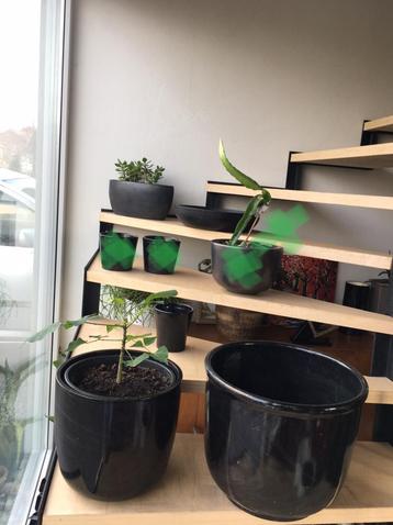 Grote luxe vintage keramische kwaliteit bloempotten planten beschikbaar voor biedingen