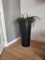 Hoge zwarte plantenbak, Tuin en Terras, Bloempotten, Ophalen, Overige materialen, 40 cm of meer, Rond