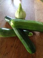 Courgettes moestuin bio, Ophalen