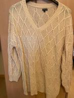 Excellent, Kleding | Dames, Ophalen of Verzenden, Zo goed als nieuw, Beige, Trui of Vest