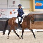 Instructie aangeboden., Diensten en Vakmensen, Bijles, Privé-les en Taalles