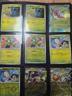 Paldean Fates Pokémon Complete Basis Set, Hobby en Vrije tijd, Verzamelkaartspellen | Pokémon, Ophalen of Verzenden, Nieuw