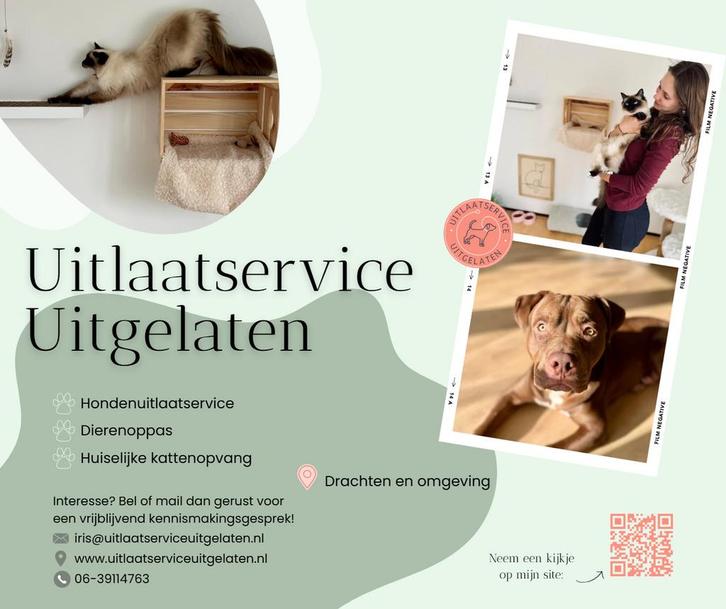 Dierenoppas en huiselijke kattenopvang, Dieren en Toebehoren, Overige Dieren, Meerdere dieren, Januari