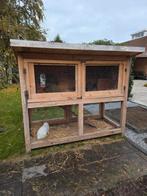 Prachtig konijnenhok en 3 konijnen, Dieren en Toebehoren, Ophalen, 110 cm of meer, Zo goed als nieuw, 90 cm of meer