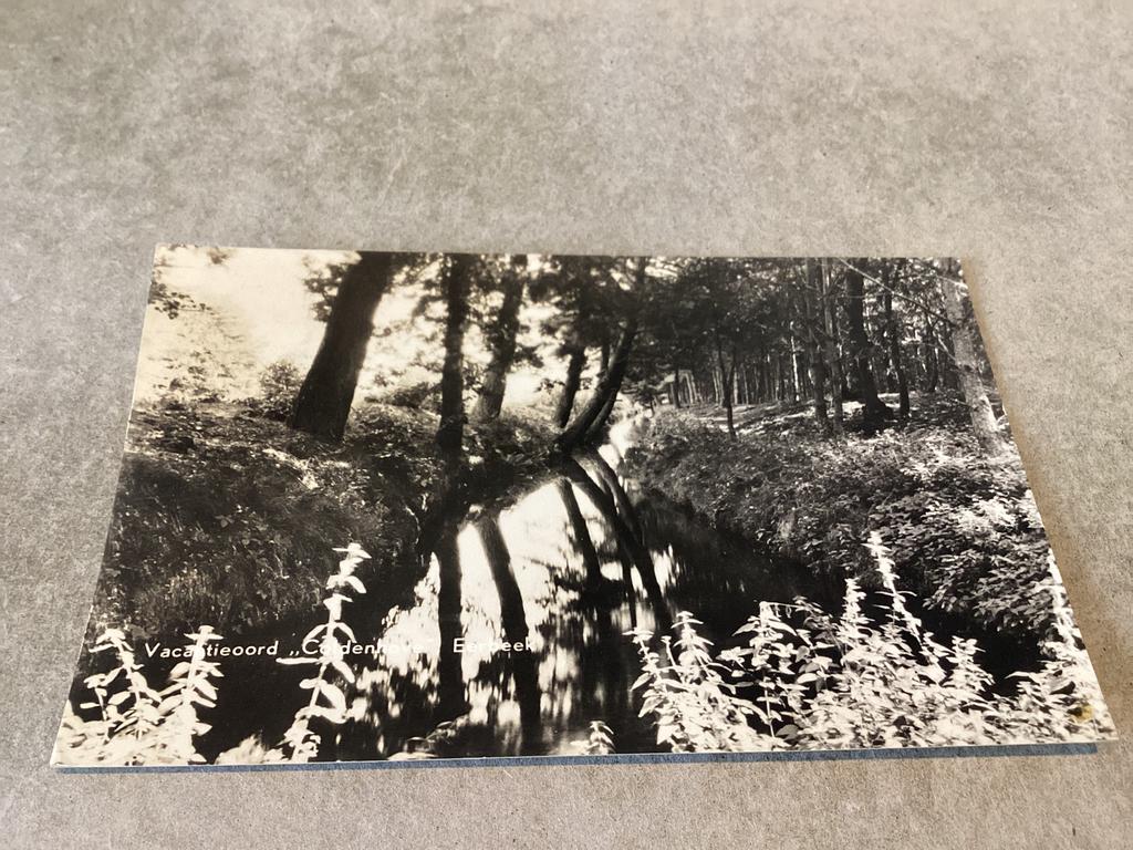 Eerbeek.      Vacantieoord ,, Coldenhove”  1953, Ophalen of Verzenden, 1940 tot 1960