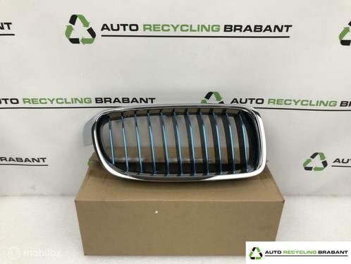 Grill Rechts BMW 3 serie F30 330E BLAUW NIEUW 51137475968, Auto-onderdelen, Carrosserie en Plaatwerk, Gebruikt, Ophalen of Verzenden