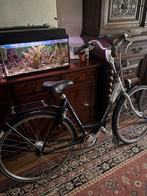 Gazelle stadsfiets – lage instap – premium kwaliteit, Fietsen en Brommers, Fietsen | Dames | Damesfietsen, Ophalen, Gebruikt, Gazelle