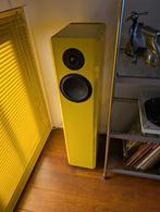Gele luidsprekers - Topgeluid! Scan Speak Units, Audio, Tv en Foto, Luidsprekers, Gebruikt, 60 tot 120 watt, Front, Rear of Stereo speakers
