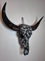 Echte schedel hoorns Buffel Stier Koe, Ophalen of Verzenden, Zo goed als nieuw