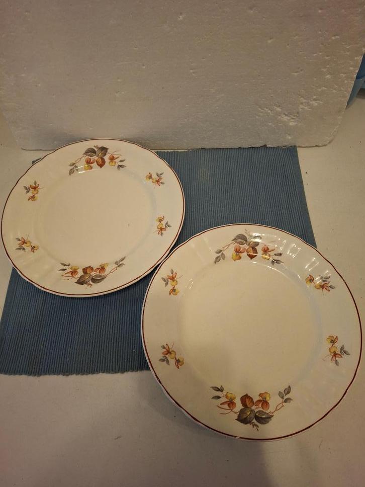 Societe Ceramique - 2 mooie dinerborden met herfstmotief, Antiek en Kunst, Antiek | Servies los, Ophalen of Verzenden