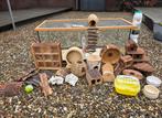 Terrarium 100cm lang + complete inrichting., Hamster, Hok, 75 tot 110 cm, Ophalen