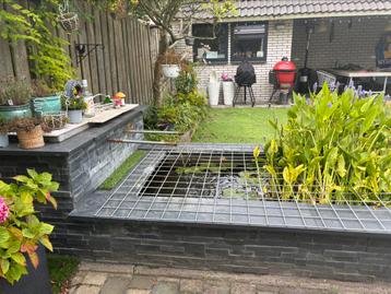 Te koop mooie vijfer met pomp, planten en goudvissen beschikbaar voor biedingen
