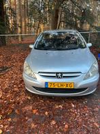 Peugeot 307 1.6 16V 5DRS 2003 Grijs, Voorwielaandrijving, Zwart, 4 cilinders, 108 pk
