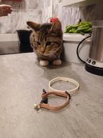 Halve mainecoon kittens., Meerdere dieren, Ontwormd, 0 tot 2 jaar