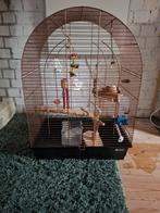 Vogelkooi met toebehoren., Dieren en Toebehoren, Ophalen, Metaal, Vogelkooi