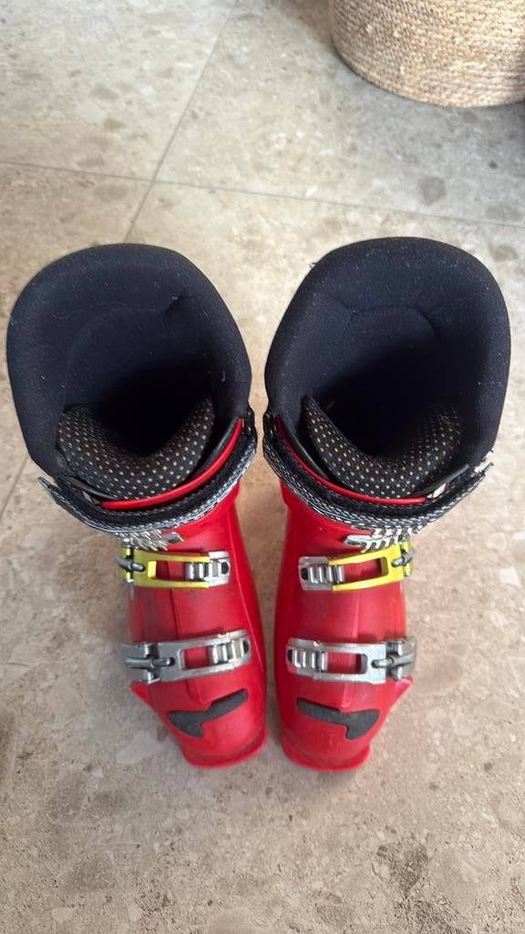 Skischoenen Salomon 25.5., Sport en Fitness, Skiën en Langlaufen, 160 tot 180 cm, Gebruikt, Schoenen, Skiën