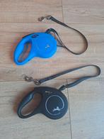 Dieren riem (2x) voor hond / kat/.., Ophalen of Verzenden, Nieuw, Hondenriem