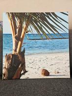 Canvas palmboom strand met kokosnoot, Ophalen, Zo goed als nieuw, Natuur, Foto