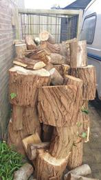 Acasia openhaardhout., Ophalen of Verzenden, Blokken, Overige houtsoorten