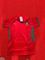 Puma Marokko Voetbalshirt - Nieuw met kaartje, Kleding | Heren, Polo's, Puma, Maat 48/50 (M), Nieuw, Ophalen of Verzenden