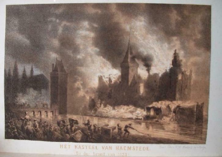 19 / Haamstede  het Kasteel  Litho 1854, Antiek en Kunst, Kunst | Litho's en Zeefdrukken, Ophalen of Verzenden