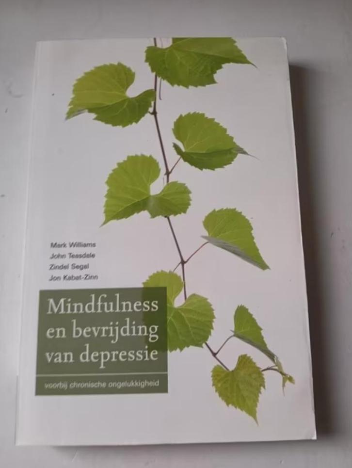 Mark Williams - Mindfulness en bevrijding van depressie, Boeken, Psychologie, Zo goed als nieuw, Ophalen of Verzenden