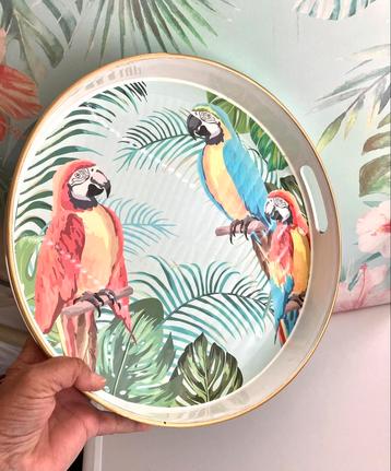 Dienblad Papegaai 🦜 rond dienblad gekleurde vogels beschikbaar voor biedingen