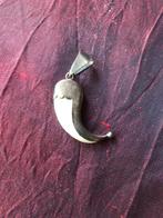 Zilveren hanger met tand, Ophalen of Verzenden, Gebruikt, Zilver, Overige voorstellingen