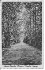 Vacantie Kinderhuis Rotterdam  Ulvenhout Omgeving., Ophalen of Verzenden, 1940 tot 1960, Gelopen, Noord-Brabant