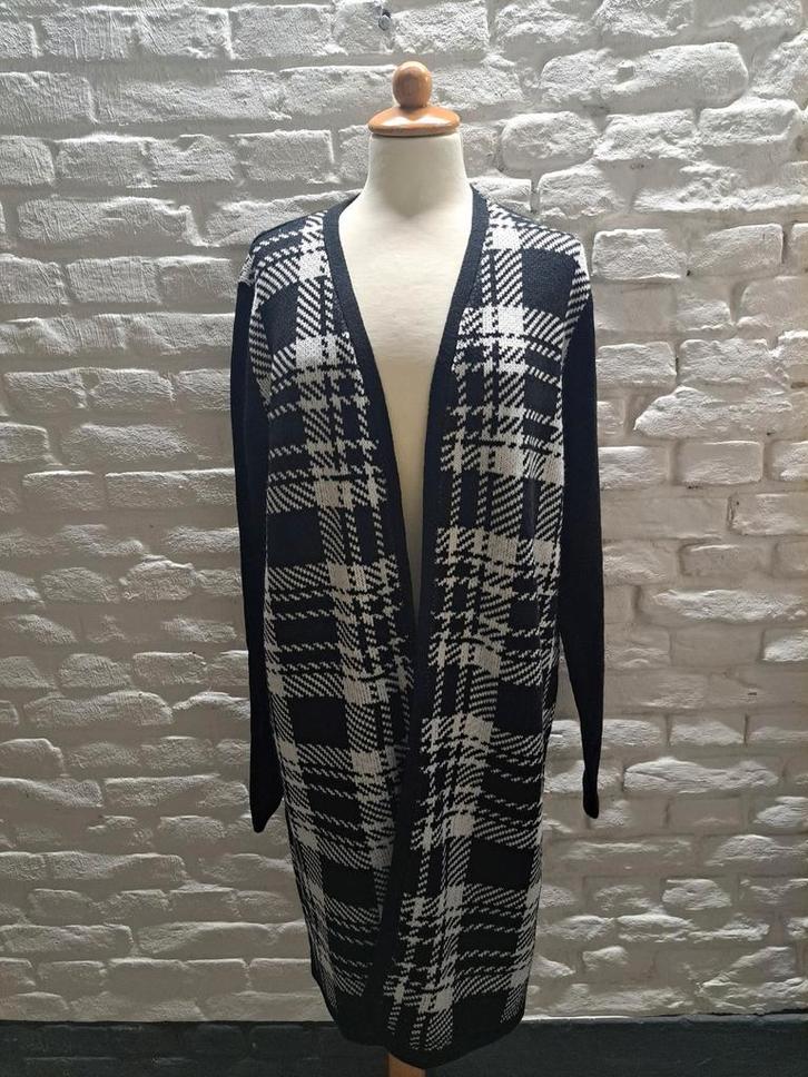 David Kahn Vest Maat 40, Kleding | Dames, Truien en Vesten, Zo goed als nieuw, Maat 38/40 (M), Zwart, Verzenden