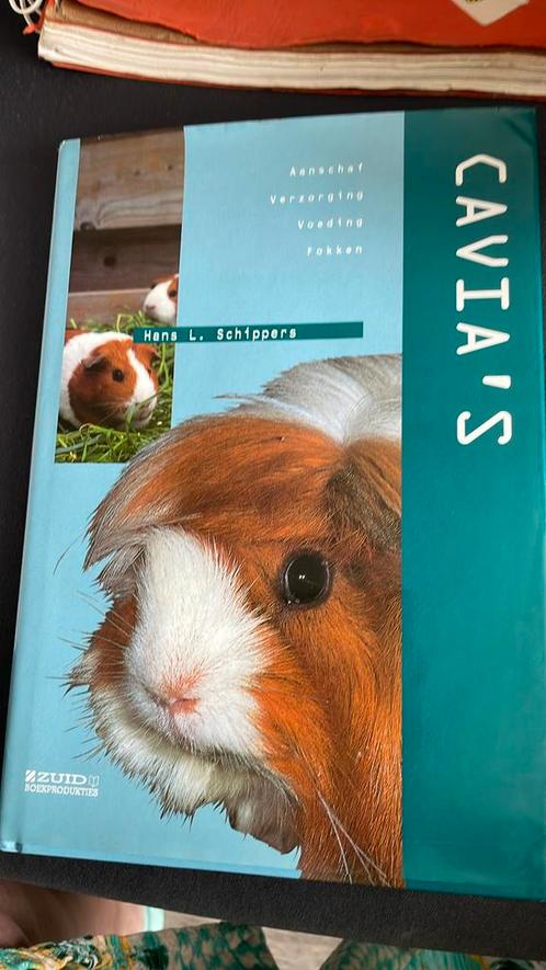 H.L. Schippers - Cavia's, Boeken, Dieren en Huisdieren, Zo goed als nieuw, Honden, Ophalen of Verzenden