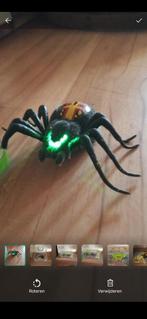 Wild pets terrarium met bewegende spin met lichtjes, Ophalen of Verzenden, Zo goed als nieuw