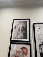 10 Desenio Schilderijen in Zwarte Lijst, Ophalen, Zo goed als nieuw, Schilderij, 50 tot 75 cm