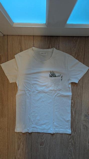 Pier One t-shirt wit maat S beschikbaar voor biedingen