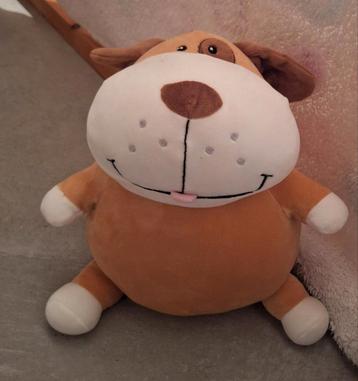 Grappige hond beschikbaar voor biedingen