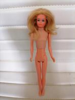 Vintage barbie poppen skipper, Ophalen of Verzenden, Zo goed als nieuw, Fashion Doll