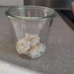 Verse melk kefir korrels 50 gram voor 1 tot 2,5 liter, Ophalen of Verzenden